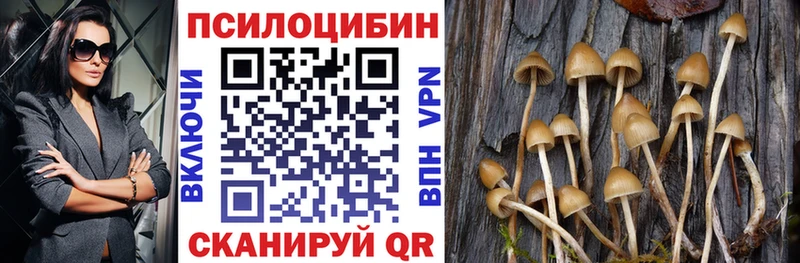 Псилоцибиновые грибы Cubensis  Бронницы 